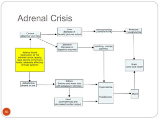 Adrenal Crisis
60
 