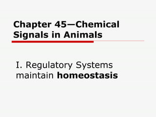 Chapter 45—Chemical Signals in Animals I. Regulatory Systems maintain  homeostasis 