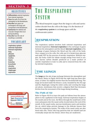 C H A P T E R 4 6
946
THE RESPIRATORY
SYSTEM
The blood transports oxygen from the lungs to cells and carries
carbon dioxide from the cells to the lungs. It is the function of
the respiratory system to exchange gases with the
cardiovascular system.
RESPIRATION
The respiratory system involves both external respiration and
internal respiration. External respiration is the exchange of gases
between the atmosphere and the blood. Internal respiration is the
exchange of gases between the blood and the cells of the body.
Once oxygen is in the cells, the cells use it to break down glucose
and make ATP by the process of aerobic respiration. Without oxy-
gen, the body could not obtain enough energy from food to sur-
vive. Excess carbon dioxide produced as a waste product of
aerobic respiration is toxic to cells and is removed from the cells
by internal respiration.
THE LUNGS
The lungs are the site of gas exchange between the atmosphere and
the blood. Notice in Figure 46-16 that the right lung has three divi-
sions, or lobes. It is slightly heavier than the two-lobed left lung. The
lungs are located inside the thoracic cavity, bounded by the rib cage
and the diaphragm. Lining the entire cavity and covering the lungs
are pleura, membranes that secrete a slippery fluid that decreases
friction from the movement of the lungs during breathing.
The Path of Air
Refer to Figure 46-16 to trace the path air follows from the atmos-
phere to the capillaries in the lungs. External respiration begins at
the mouth and at the nose. Air filters through the small hairs of the
nose and passes into the nasal cavity, located above the roof of the
mouth. In the nasal cavity, mucous membranes warm and moisten
the air, which helps prevent damage to the delicate tissues that
form the respiratory system. The walls of the nasal cavity are also
lined with cilia. These cilia trap particles that are inhaled and are
eventually swept into the throat, where they are swallowed.
SECTION 3
O B J E C T I V E S
● Differentiate external respiration
from internal respiration.
● Trace the path of air from the
atmosphere to the bloodstream.
● Describe how gases are
exchanged in the lungs and
transported in the bloodstream.
● Summarize the skeletal and
muscular changes that occur
during breathing.
● Describe how the rate of
breathing is controlled.
VO C A B U L A R Y
respiratory system
external respiration
internal respiration
lung
pharynx
epiglottis
trachea
larynx
bronchus
bronchiole
alveolus
inspiration
diaphragm
expiration
www.scilinks.org
Topic: Respiratory System
Keyword: HM61307
Copyright © by Holt, Rinehart and Winston. All rights reserved.
 
