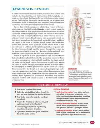 939
C I R C U L AT O R Y A N D R E S P I R AT O R Y S Y S T E M S
LYMPHATIC SYSTEM
In addition to the cardiovascular system, the circulatory system also
includes the lymphatic system. One function of the lymphatic sys-
tem is to return fluids that have collected in the tissues to the blood-
stream. Fluids diffuse through the capillary walls just as oxygen and
nutrients do. Some of these fluids pass into cells, some return to the
capillaries, and some remain in the intercellular spaces.
Excess fluid in the tissues moves into the tiny vessels of the lym-
phatic system; this fluid is called lymph. Lymph vessels merge to
form larger vessels. The lymph vessels are similar in structure to
capillaries, and the larger lymph vessels are similar in structure to
veins. However, an important difference exists between blood ves-
sels and lymph vessels. Blood vessels form a complete circuit so
that blood passes from the heart to all parts of the body and then
back again to the heart. In contrast, lymph vessels form a one-way
system that returns fluids collected in the tissues back to the
bloodstream. In addition, the lymphatic system has no pump. Like
the blood in veins, lymph must be moved through the vessels by
the squeezing of skeletal muscles. Like veins, the larger lymph ves-
sels have valves to prevent the fluid from moving backward.
Notice in Figure 46-10 that lymph vessels form a vast network
that extends throughout the body. The lymph that travels in these
vessels is a transparent yellowish fluid, much like the liquid part of
the blood. As the lymph travels through these vessels on its way to
the heart, it passes through small organs known as lymph nodes.
Notice in Figure 46-10 that lymph nodes are like beads on a string.
These nodes filter the lymph as it passes, trapping foreign parti-
cles, microorganisms, and other tissue debris. Lymph nodes also
store lymphocytes, white blood cells that are specialized to fight
disease. When a person has an infection, the nodes may become
inflamed, swollen, and tender because of the increased number
of lymphocytes.
1. Describe the structure of the heart.
2. Outline the path that blood follows through the
heart and body, starting at the superior vena cava.
3. Describe the process by which the heartbeat
is regulated.
4. How are the structures of arteries, veins, and
capillaries related to their function?
5. Compare oxygenation levels in pulmonary
circulation and systemic circulation.
6. Explain how the lymphatic system works with
the cardiovascular system.
CRITICAL THINKING
7. Analyzing Information Some babies are born
with a hole in the septum between the two
atria. Based on what you know about blood flow
through the heart, explain why this condition
would be harmful to the baby.
8. Forming Reasoned Opinions In which blood
vessels would you expect to find the lowest
average blood pressure? Explain your answer.
9. Applying Information A man’s arm is cut by a
piece of glass. Blood comes out of the wound in
rapid spurts. Which type of vessel was cut?
SECTION 1 REVIEW
Like the cardiovascular system, the
lymphatic system forms a vast network.
Concentrated in certain regions of this
network are lymph nodes that contain
some of the disease-fighting cells of the
immune system.
FIGURE 46-10
Tonsils
Thymus
Lymph
node
Spleen
Lymphatic
vessel
Bone
marrow
Copyright © by Holt, Rinehart and Winston. All rights reserved.
 