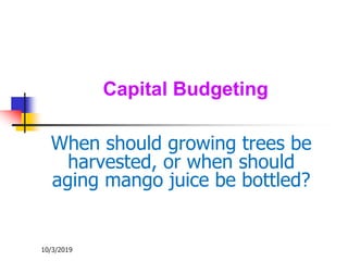 10/3/2019
Capital Budgeting
When should growing trees be
harvested, or when should
aging mango juice be bottled?
 