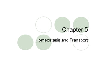 Chapter 5 Homeostasis and Transport 
