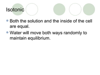 Isotonic Both the solution and the inside of the cell are equal. Water will move both ways randomly to maintain equilibrium. 