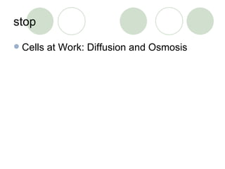 stop Cells at Work: Diffusion and Osmosis 