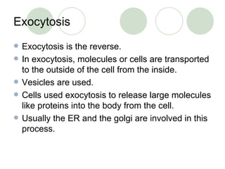 Exocytosis Exocytosis is the reverse. In exocytosis, molecules or cells are transported to the outside of the cell from the inside. Vesicles are used. Cells used exocytosis to release large molecules like proteins into the body from the cell. Usually the ER and the golgi are involved in this process. 