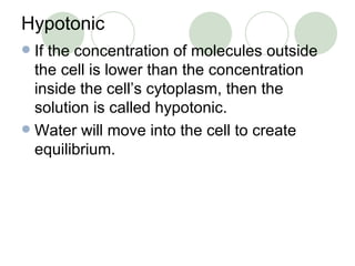 Hypotonic If the concentration of molecules outside the cell is lower than the concentration inside the cell’s cytoplasm, then the solution is called hypotonic. Water will move into the cell to create equilibrium. 