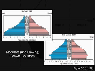 Chapter 5: Hidden Momentum of Population Growth in India | PPT