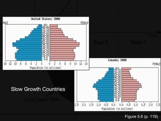 Chapter 5: Hidden Momentum of Population Growth in India | PPT