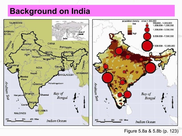Chapter 5: Hidden Momentum of Population Growth in India | PPT