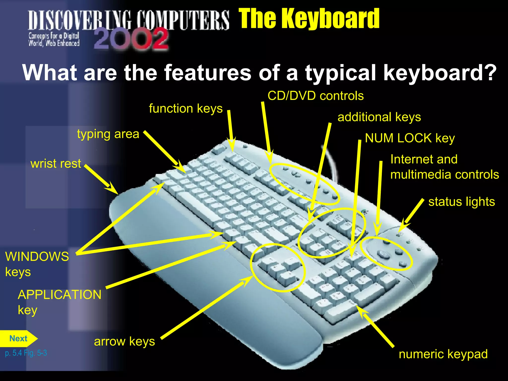 The Keyboard What are the features of a typical keyboard? p. 5.4 Fig. 5-3 NUM LOCK key function keys APPLICATION key WINDOWS keys status lights numeric keypad additional keys Internet and multimedia controls arrow keys CD/DVD controls wrist rest typing area Next 