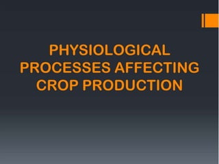 PHYSIOLOGICAL
PROCESSES AFFECTING
CROP PRODUCTION
 