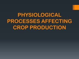 PHYSIOLOGICAL
PROCESSES AFFECTING
CROP PRODUCTION
 