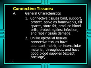 5 - 25
Connective Tissues:
A. General Characteristics
1. Connective tissues bind, support,
protect, serve as frameworks, f...