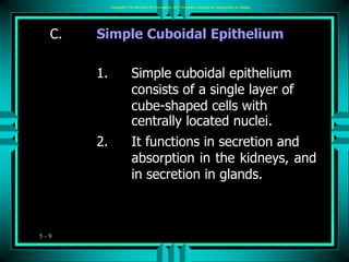 5 - 9
C. Simple Cuboidal Epithelium
1. Simple cuboidal epithelium
consists of a single layer of
cube-shaped cells with
cen...