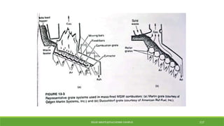 SOLID WASTE@PULCHOWK CAMPUS 117
 