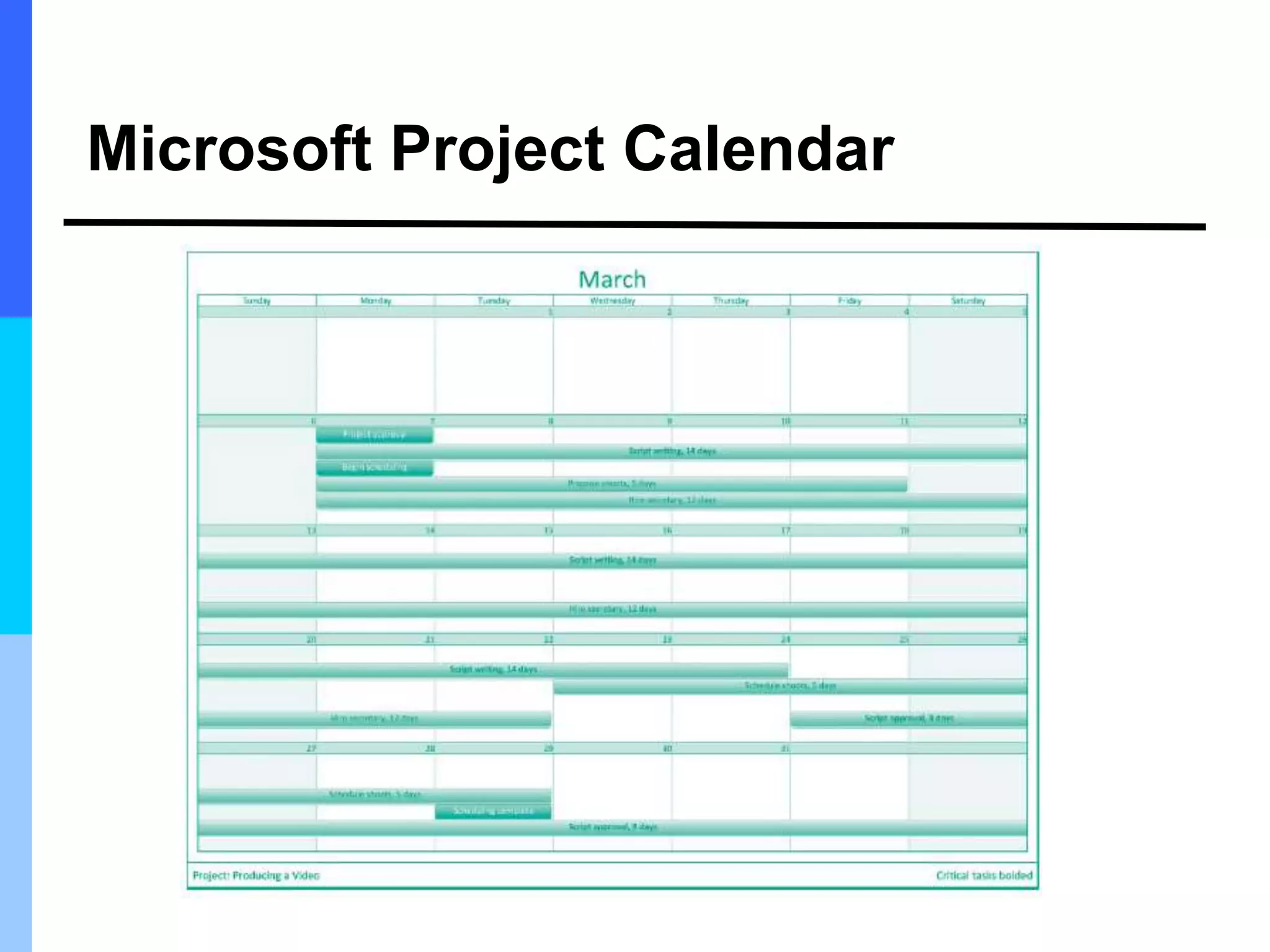 Microsoft Project Calendar
 