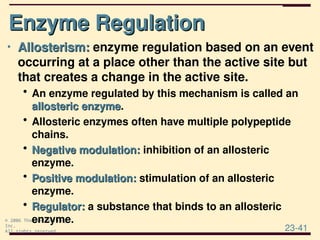 Comprehensive Overview of Enzymes and Vitamins: Structure, Function ...