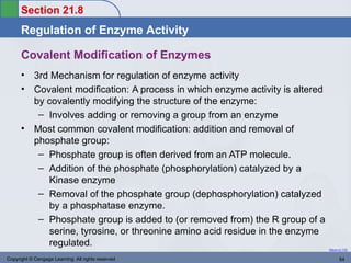 Comprehensive Overview of Enzymes and Vitamins: Structure, Function ...