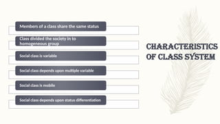 Comprehensive Overview of Social Stratification: Caste, Class, Race ...
