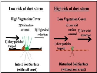 Wind erosion and it's control | PPTX