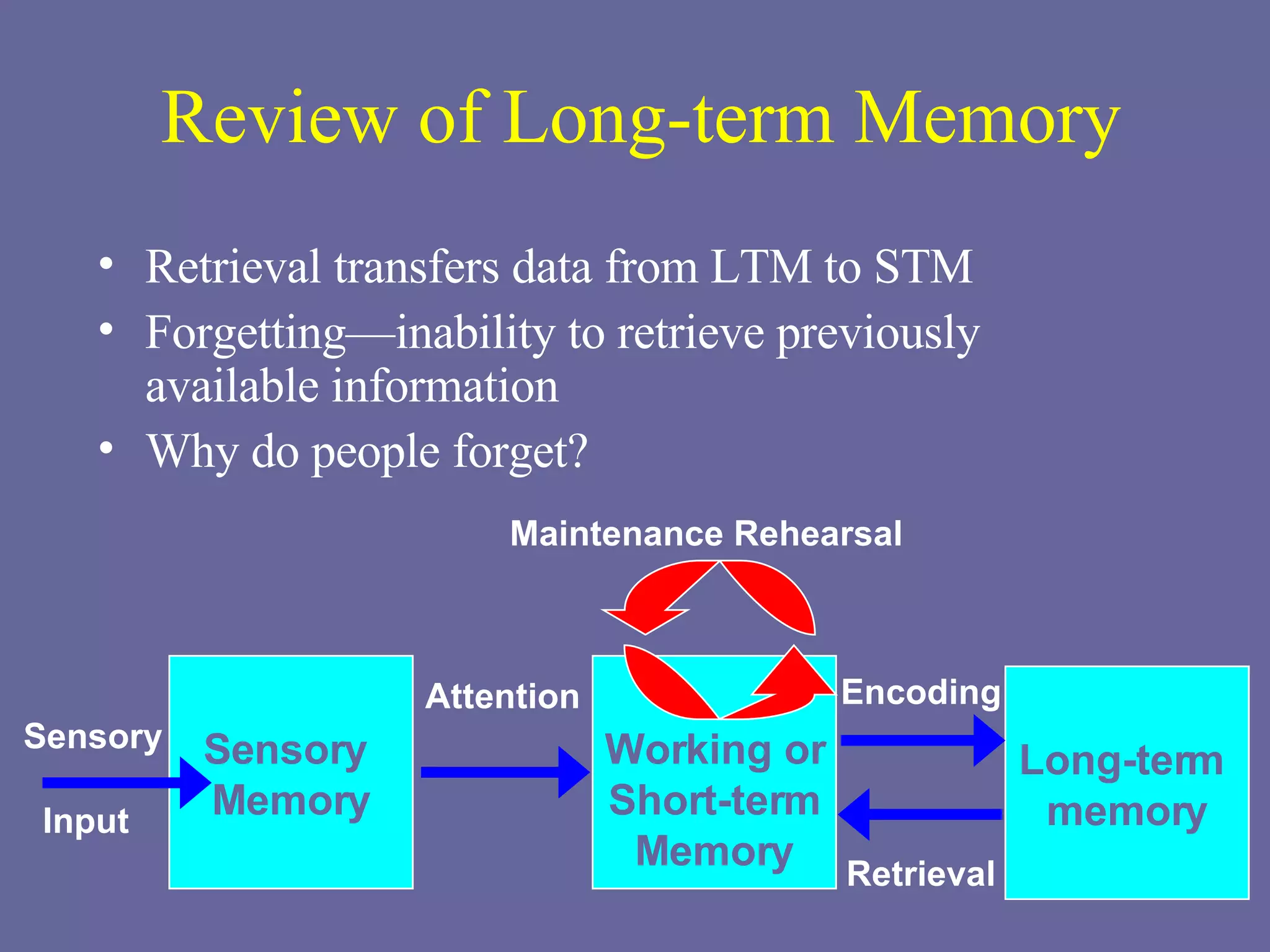 Review of Long-term Memory  Retrieval transfers data from LTM to STM Forgetting—inability to retrieve previously available information Why do people forget? Long-term  memory Working or Short-term Memory Sensory Input Sensory  Memory Attention Encoding Retrieval Maintenance Rehearsal 