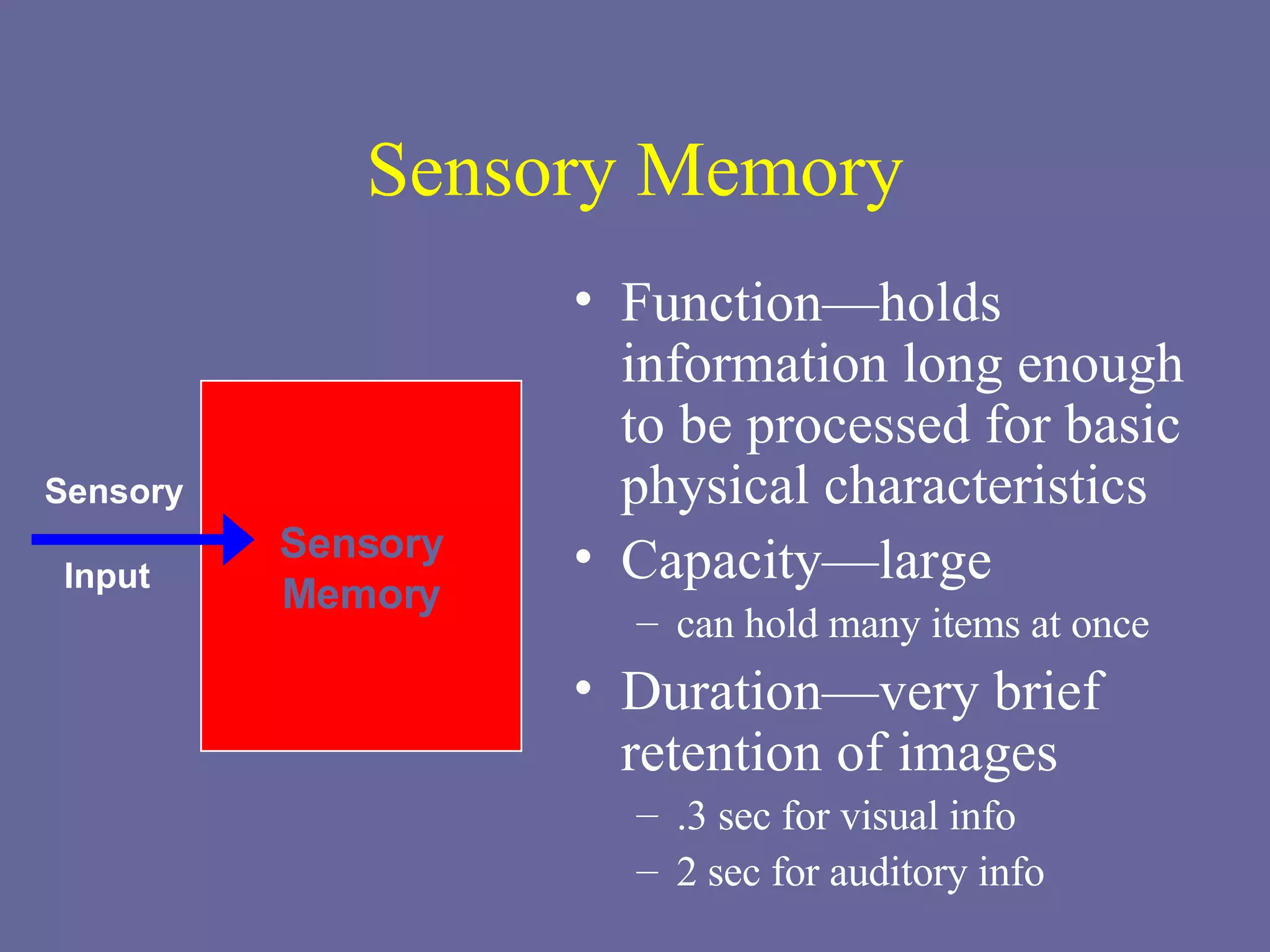 Sensory Memory Function—holds information long enough to be processed for basic physical characteristics Capacity—large can hold many items at once Duration—very brief retention of images .3 sec for visual info 2 sec for auditory info Sensory Input Sensory Memory 