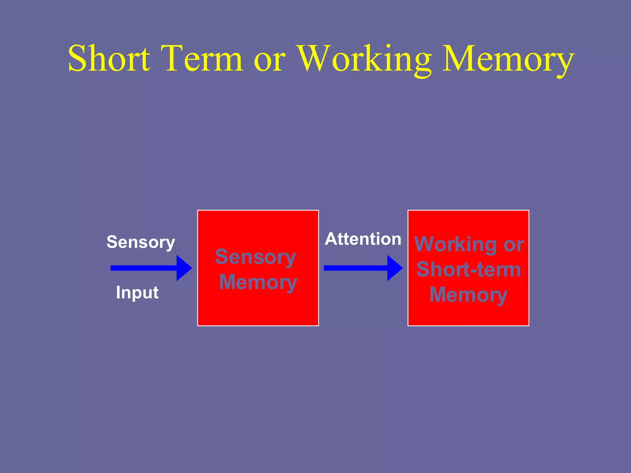 Short Term or Working Memory Working or Short-term Memory Sensory Input Sensory  Memory Attention 