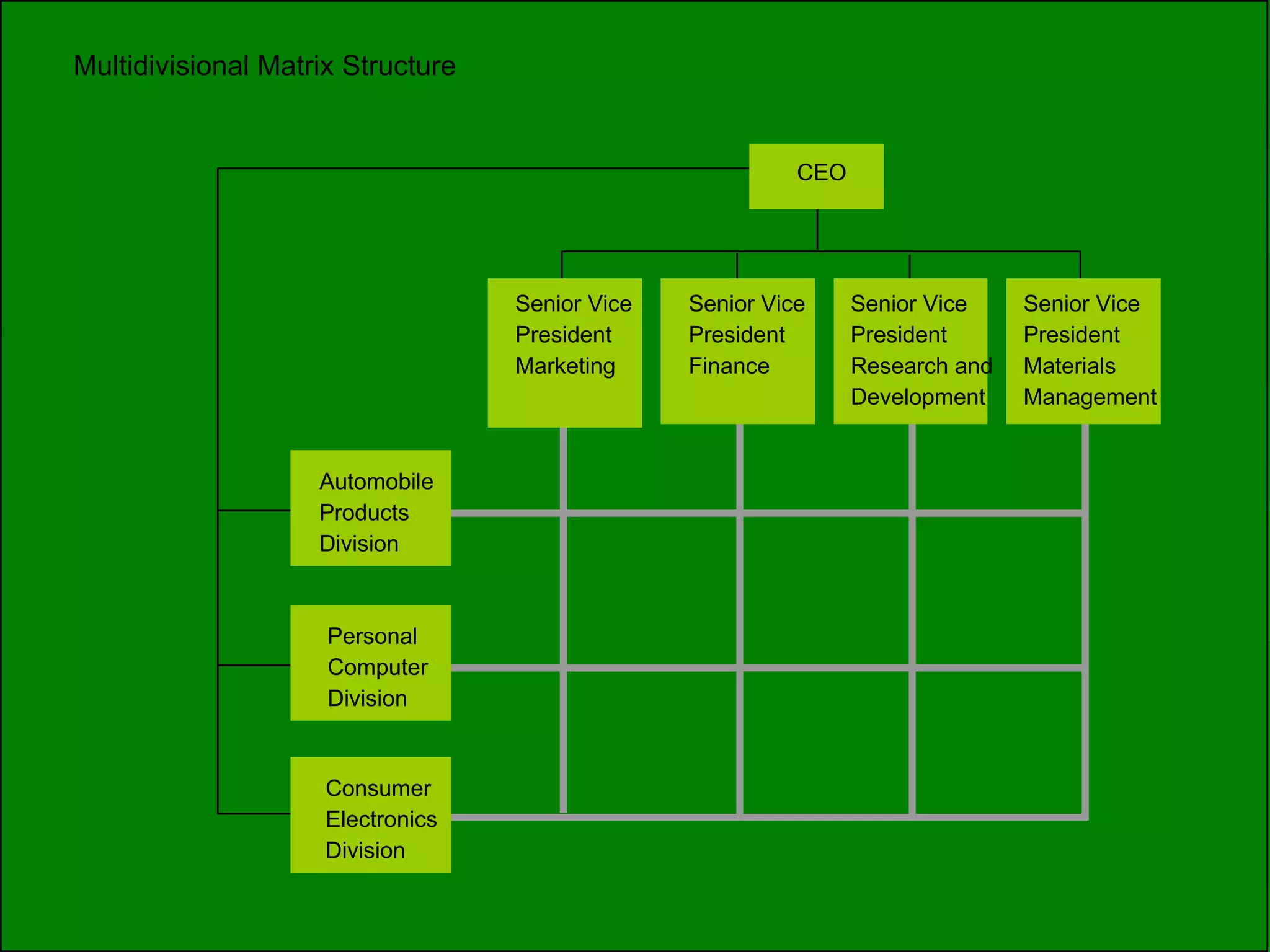 Multidivisional Matrix Structure CEO Senior Vice President Marketing Senior Vice President Finance Senior Vice President Research and Development Senior Vice President Materials Management Automobile Products Division Personal Computer Division Consumer Electronics Division 