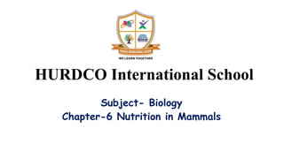 HURDCO International School
Subject- Biology
Chapter-6 Nutrition in Mammals
 
