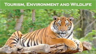 Tourism, Environment and Wildlife
 