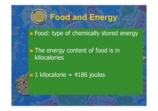 Chapter 6 Work And Energy
