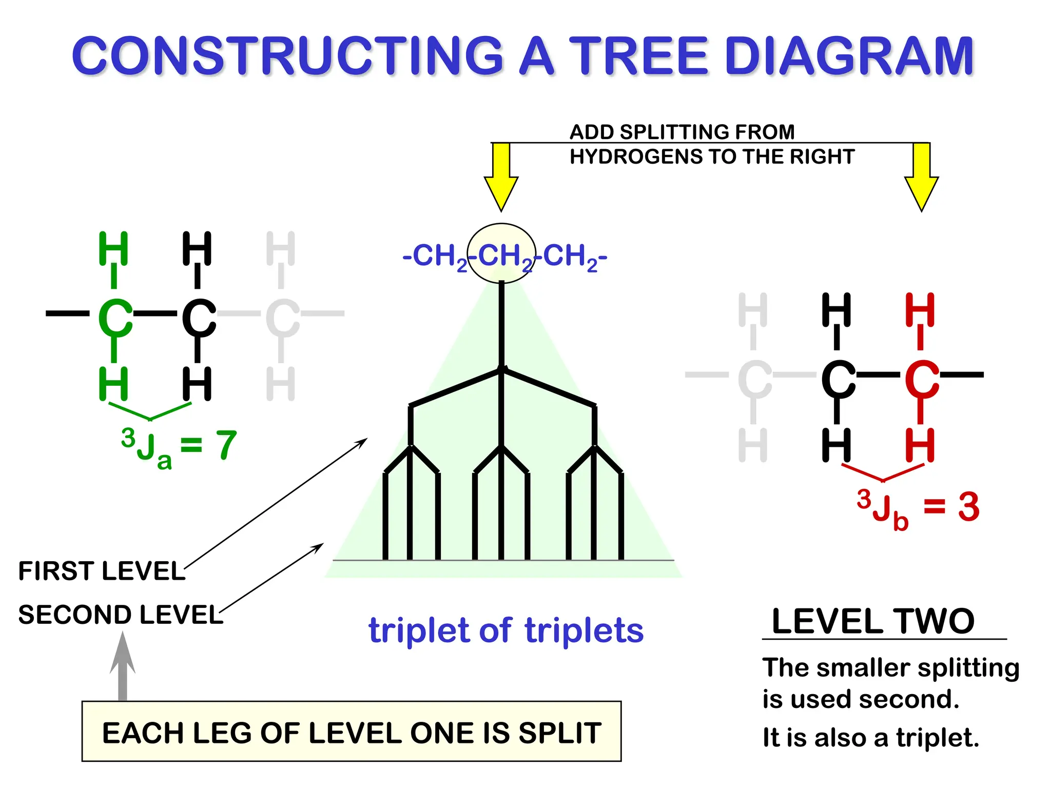 C
H
H
C
H
H
C
H
H
3Ja = 7
-CH2-CH2-CH2-
CONSTRUCTING A TREE DIAGRAM
C
H
H
C
H
H
C
H
H
3Jb = 3
triplet of triplets
ADD SPLITTING FROM
HYDROGENS TO THE RIGHT
The smaller splitting
is used second.
FIRST LEVEL
SECOND LEVEL LEVEL TWO
It is also a triplet.
EACH LEG OF LEVEL ONE IS SPLIT
 