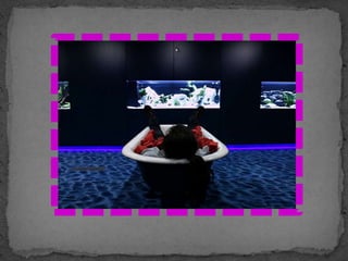 Chapter 7    Bureaucracy And  Formal  Organizations