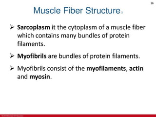 CHAPTER-7-MUSCULAR-SYSTEM.pdf