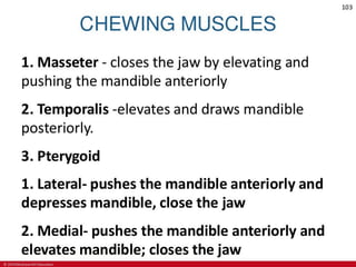 CHAPTER-7-MUSCULAR-SYSTEM.pdf