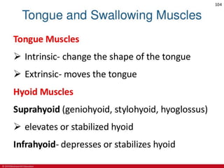 CHAPTER-7-MUSCULAR-SYSTEM.pdf
