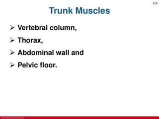 CHAPTER-7-MUSCULAR-SYSTEM.pdf