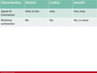 CHAPTER-7-MUSCULAR-SYSTEM.pdf
