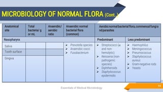 Normal-Human-Microbiota.pptx