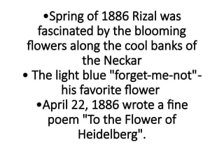 •Spring of 1886 Rizal was
fascinated by the blooming
flowers along the cool banks of
the Neckar
• The light blue "forget-me-not"-
his favorite flower
•April 22, 1886 wrote a fine
poem "To the Flower of
Heidelberg".
 