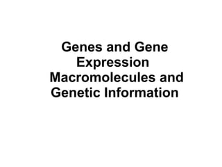 Genes and Gene Expression   Macromolecules and Genetic Information 