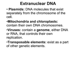 Extranuclear DNA Plasmids:  DNA molecules that exist separately from the chromosome of the cell.  Mitochondria and chloroplasts:  contain their own DNA chromosomes.  Viruses:  contain a  genome , either DNA or RNA, that controls their own replication.  Transposable elements:  exist as a part of other genetic elements. 