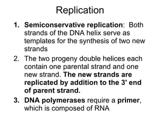 Replication Semiconservative replication :  Both strands of the DNA helix serve as templates for the synthesis of two new strands The two progeny double helices each contain one parental strand and one new strand.  The new strands are replicated by addition to the 3' end of parent strand. DNA polymerases  require a  primer , which is composed of RNA 