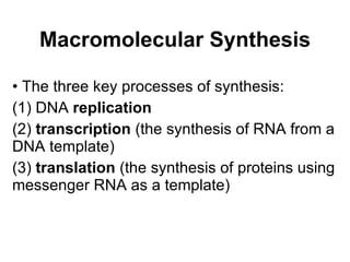 Macromolecular Synthesis The three key processes of synthesis: (1) DNA  replication   (2)  transcription  (the synthesis of RNA from a DNA template) (3)  translation  (the synthesis of proteins using messenger RNA as a template) 