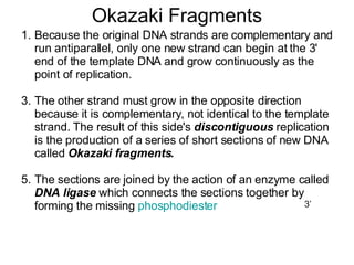 Okazaki Fragments Because the original DNA strands are complementary and run antiparallel, only one new strand can begin at the 3' end of the template DNA and grow continuously as the point of replication.  The other strand must grow in the opposite direction because it is complementary, not identical to the template strand. The result of this side's  discontiguous  replication is the production of a series of short sections of new DNA called  Okazaki fragments. The sections are joined by the action of an enzyme called  DNA ligase  which connects the sections together by forming the missing  phosphodiester  3’ 