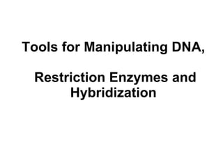 Tools for Manipulating DNA,    Restriction Enzymes and Hybridization 