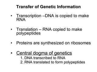 Transcription –DNA is copied to make RNA Translation – RNA copied to make polypeptides Proteins are synthesized on ribosomes Central dogma of genetics DNA transcribed to RNA RNA translated to form polypeptides Transfer of Genetic Information 