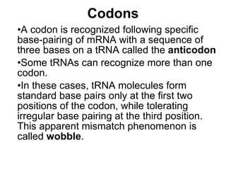 Codons A codon is recognized following specific base-pairing of mRNA with a sequence of three bases on a tRNA called the  anticodon Some tRNAs can recognize more than one codon.  In these cases, tRNA molecules form standard base pairs only at the first two positions of the codon, while tolerating irregular base pairing at the third position. This apparent mismatch phenomenon is called  wobble . 