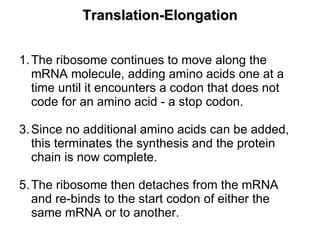 The ribosome continues to move along the mRNA molecule, adding amino acids one at a time until it encounters a codon that does not code for an amino acid - a stop codon. Since no additional amino acids can be added, this terminates the synthesis and the protein chain is now complete.  The ribosome then detaches from the mRNA and re-binds to the start codon of either the same mRNA or to another. Translation-Elongation 