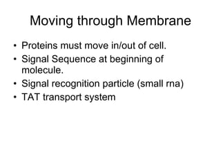 Moving through Membrane Proteins must move in/out of cell. Signal Sequence at beginning of molecule. Signal recognition particle (small rna) TAT transport system 